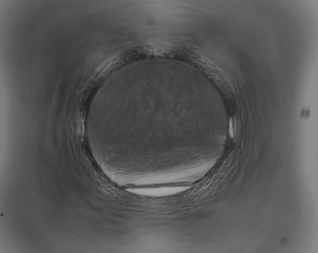 X0000097601155200803280944