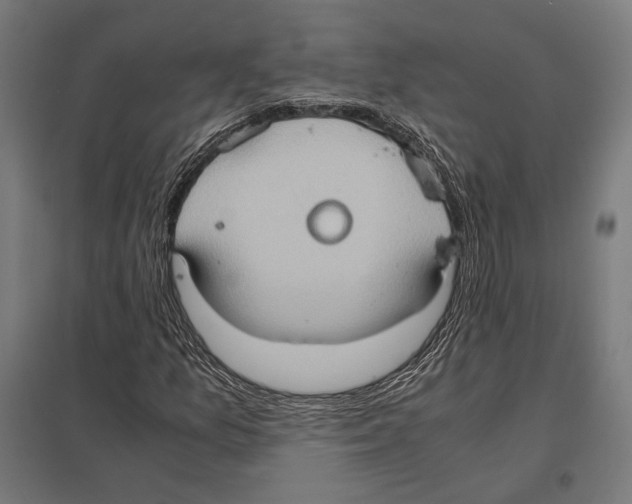 X0000097601157200803280944