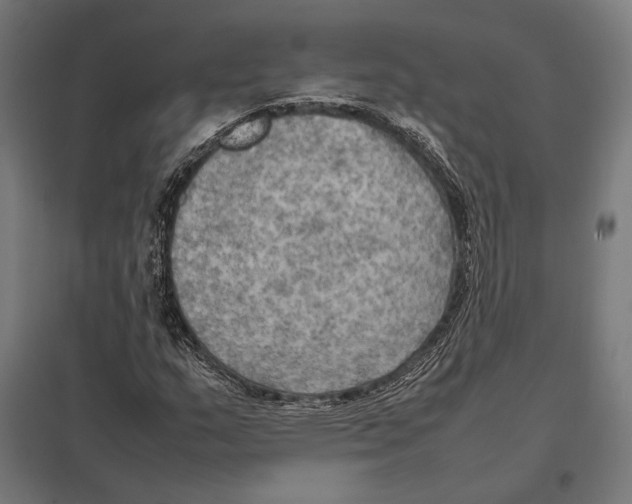 X0000097601159200803280944