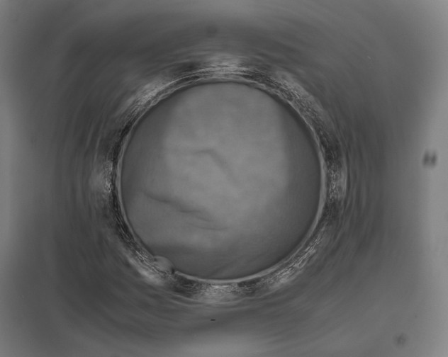 X0000097601161200803280944