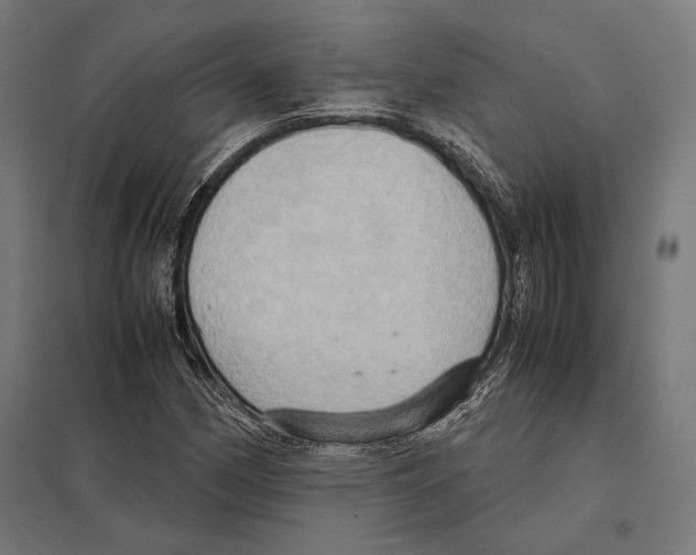 X0000097601162200803280944