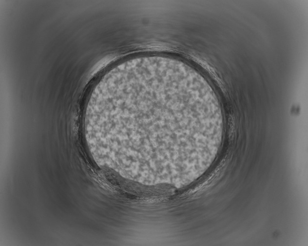 X0000097601163200803280944