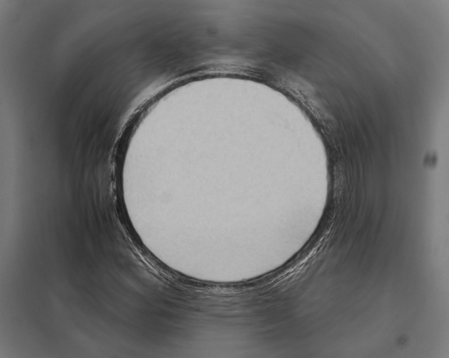 X0000097601164200803280944