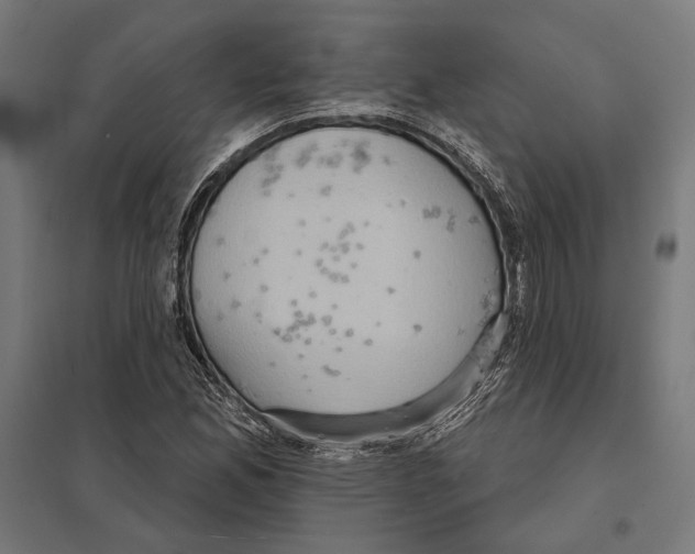 X0000097601165200803280944