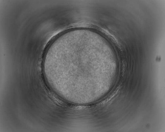 X0000097601166200803280944