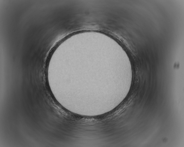 X0000097601168200803280944