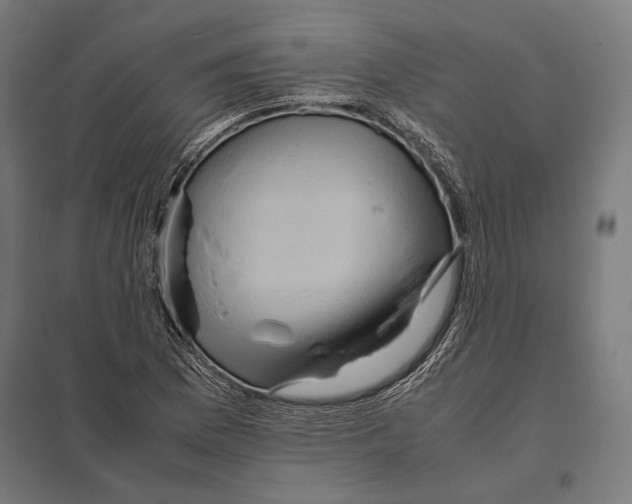 X0000097601169200803280944