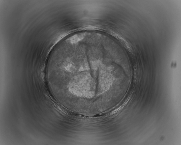 X0000097601170200803280944