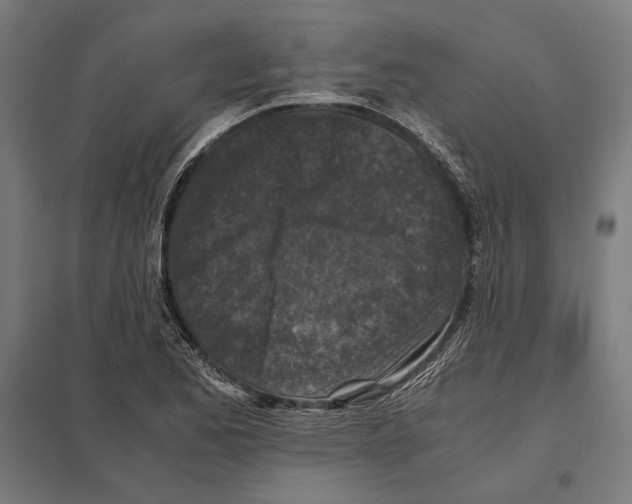 X0000097601173200803280944