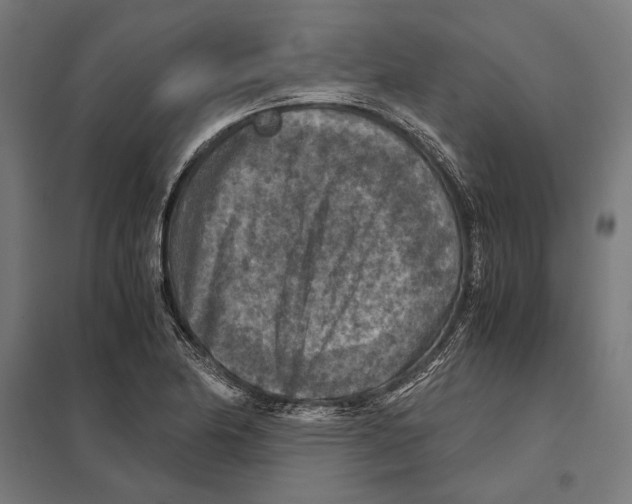 X0000097601174200803280943