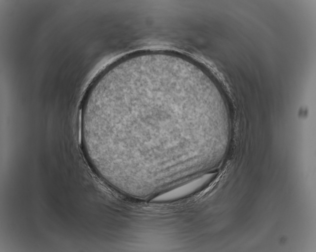 X0000097601175200803280943