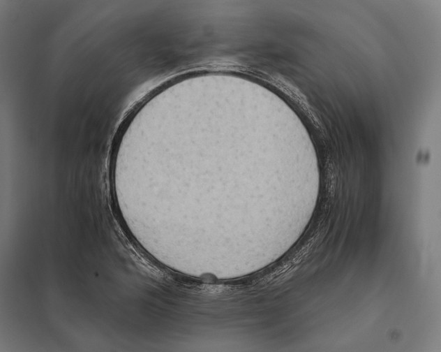 X0000097601176200803280943