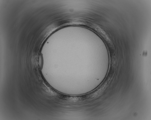 X0000097601177200803280943