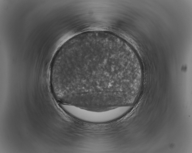 X0000097601179200803280943