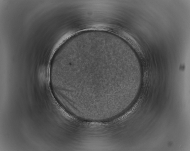 X0000097601180200803280943