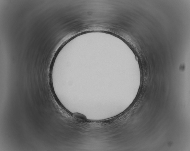 X0000097601181200803280943