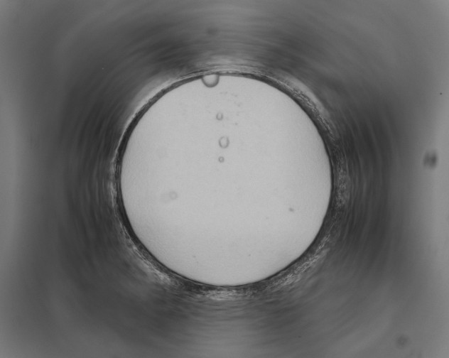 X0000097601182200803280943