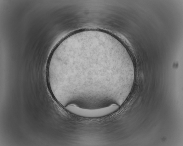 X0000097601183200803280943