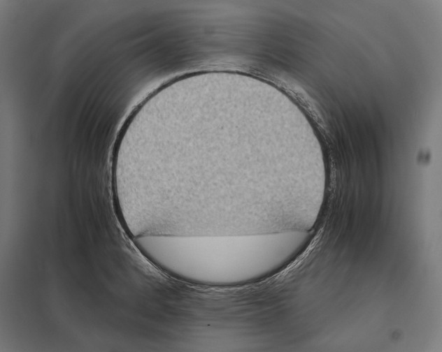 X0000097601184200803280943