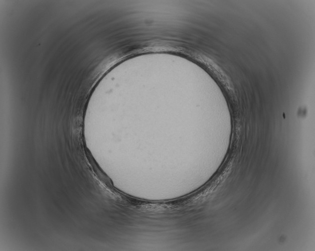 X0000097601185200803280943