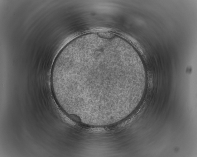 X0000097601186200803280943