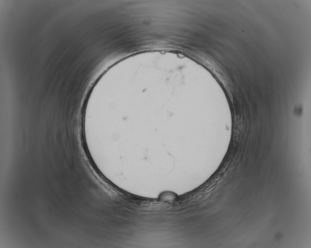 X0000097601187200803280943