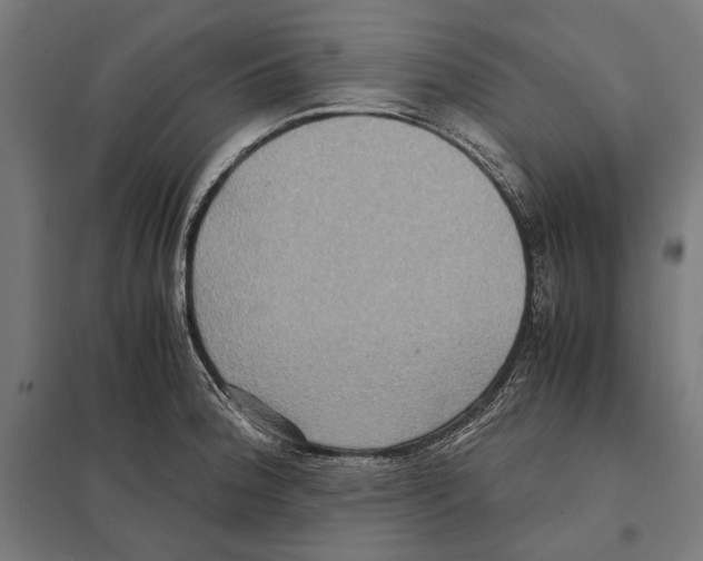 X0000097601188200803280943