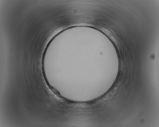 X0000097601189200803280943