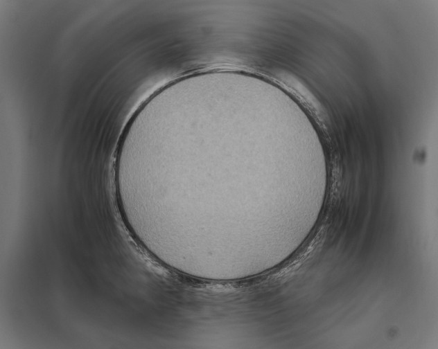 X0000097601190200803280943