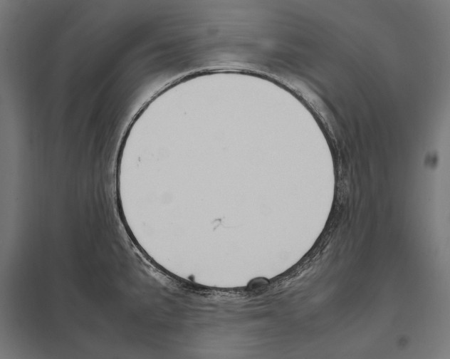 X0000097601191200803280943