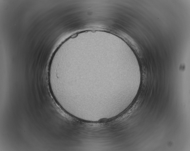 X0000097601192200803280943