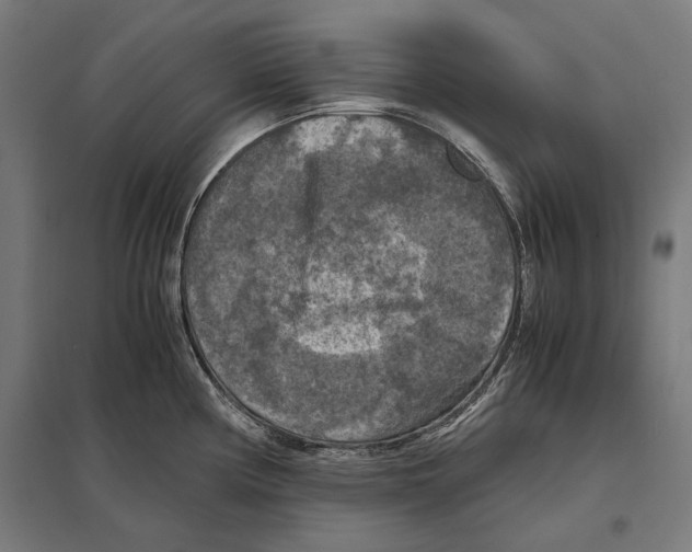 X0000097601194200803280943