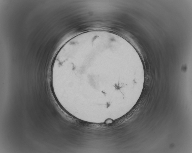 X0000097601195200803280943