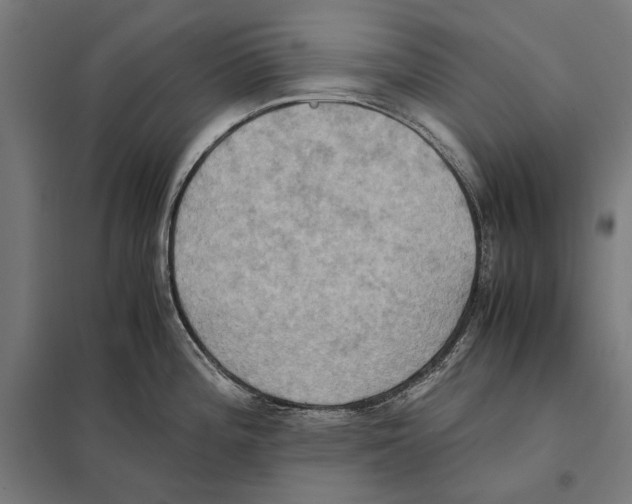 X0000097601196200803280943