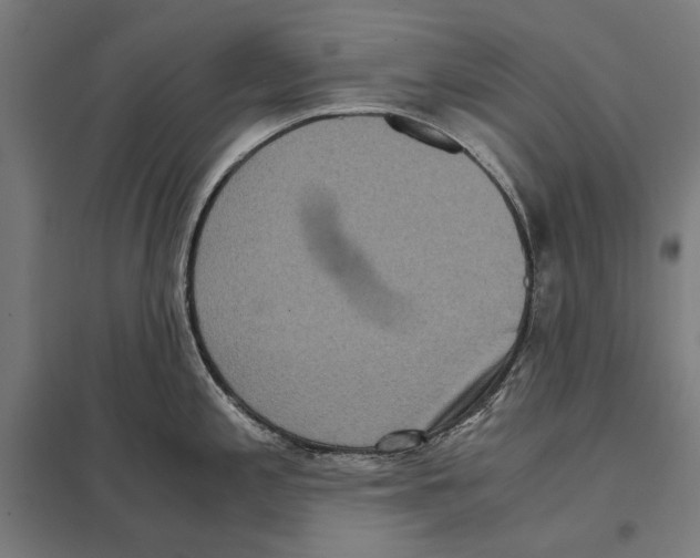 X0000097601197200803280943