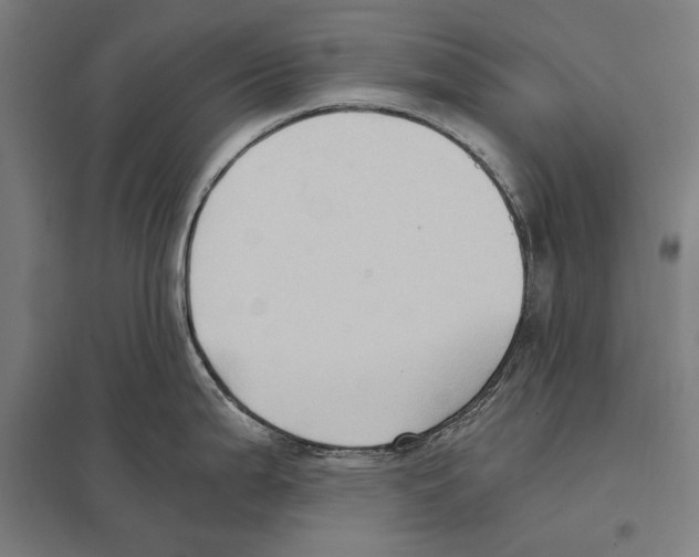 X0000097601199200803280943