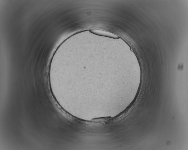 X0000097601200200803280943