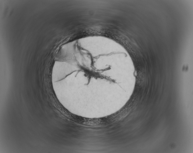 X0000097601201200803280942