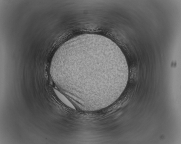 X0000097601202200803280942