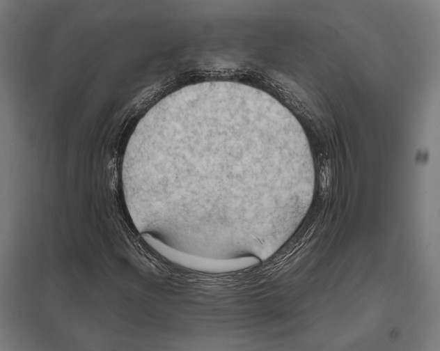 X0000097601204200803280943