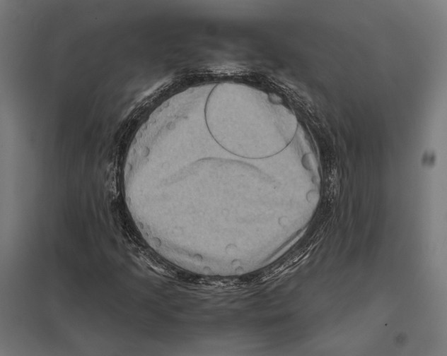 X0000097601205200803280943