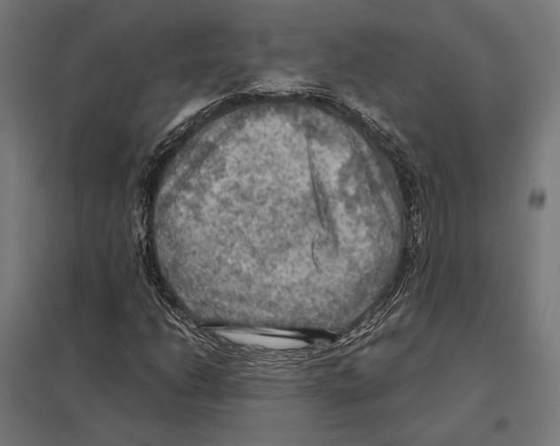 X0000097601206200803280943