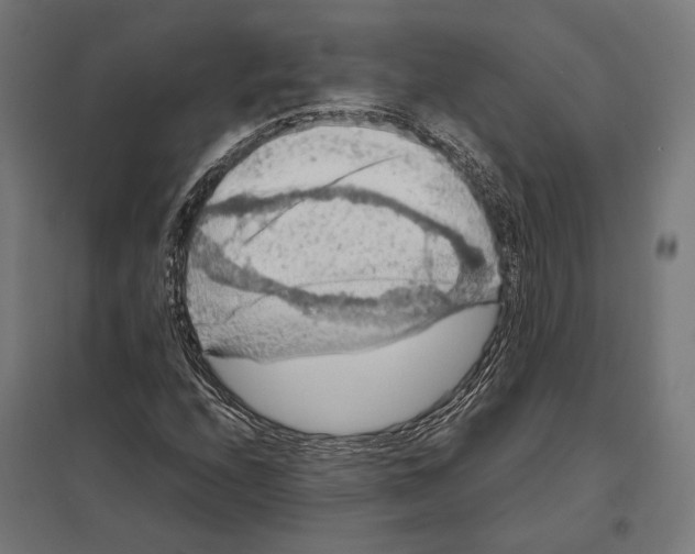 X0000097601208200803280943