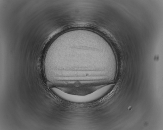 X0000097601210200803280943