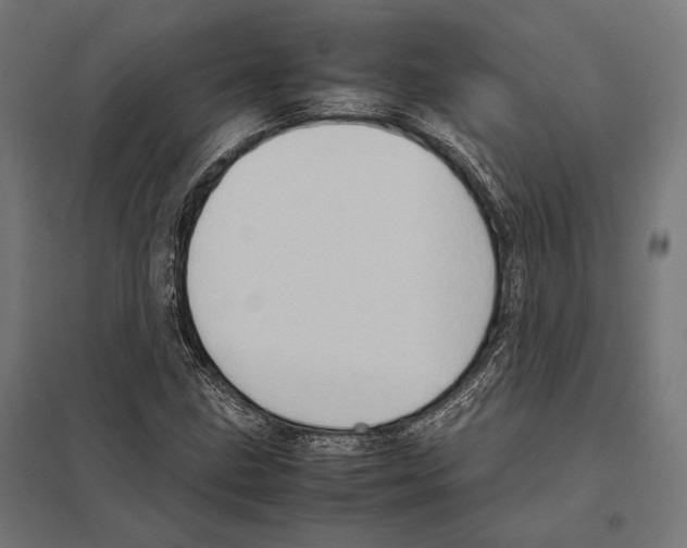 X0000097601211200803280943