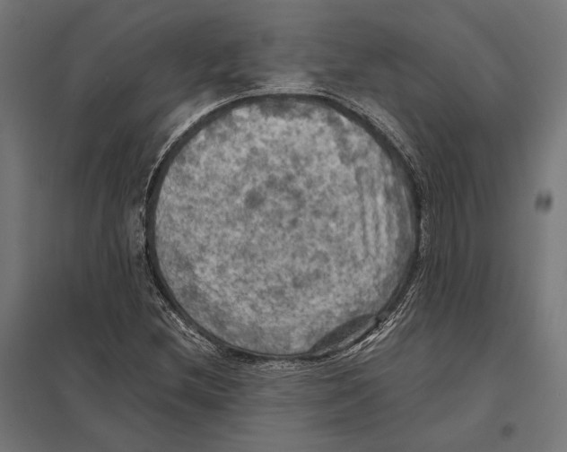 X0000097601212200803280943