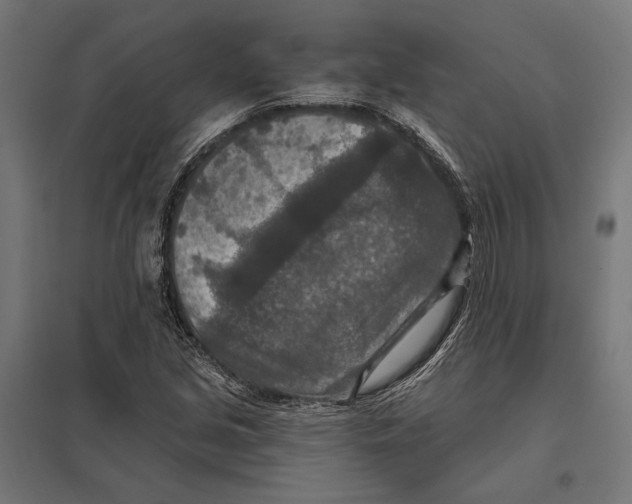 X0000097601213200803280943