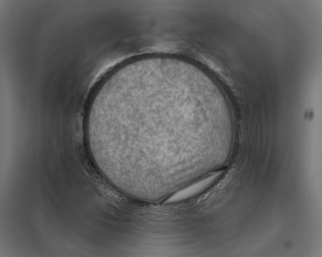 X0000097601214200803280943