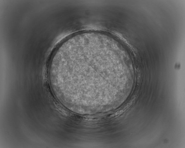 X0000097601215200803280943