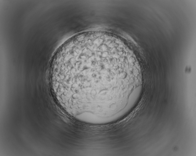 X0000097601216200803280943